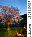 Yunosawa Lakeside Park Campground, Hokuto City, Hokkaido (Nighttime cherry blossoms and camping) 139536657