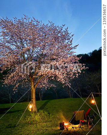 北海道北斗市雲之澤湖畔公園露營地（夜間賞櫻和露營） 139536657