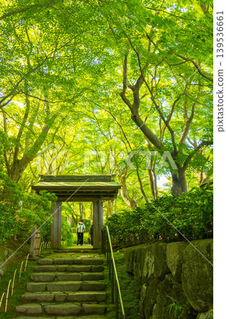 【清新綠意】熱海MOA美術館日式庭園 【清新綠意】熱海MOA美術館日式庭園 139536661
