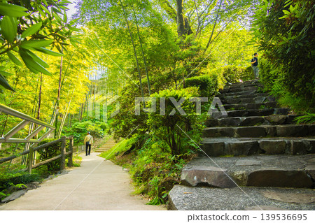 [Fresh Greenery] Atami MOA Museum of Art's Japanese Garden (Fork in the Road) 139536695