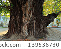 Scenery of Thakhek, Laos 139536730
