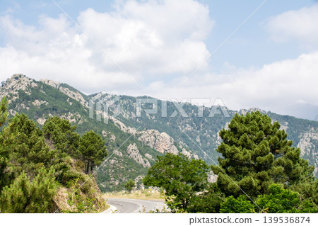 在地中海的法國科西嘉島上,一條道路蜿蜒穿過覆蓋著茂密樹木的山脈,從山頂上可以看到這條山脈。 在地中海的法國科西嘉島上,一條道路蜿蜒穿過覆蓋著茂密樹木的山脈,從山頂上可以看到這條山脈。 139536874