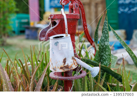 Weathered red water pump and watering can surrounded by succulents Weathered red water pump and watering can surrounded by succulents 139537003