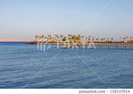 Tropical beach with pier, palm trees, and clear blue sea Tropical beach with pier, palm trees, and clear blue sea 139537014