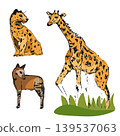 Doddle sketch tropical animal set, jaguar, okapi, giraffe  139537063