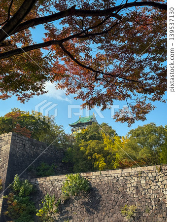Osaka-jo (castle) and Fall leaves, Japan Osaka-jo (castle) and Fall leaves, Japan 139537130