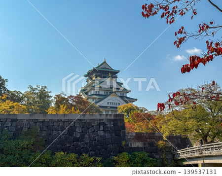 Osaka-jo (castle) and Fall leaves, Japan Osaka-jo (castle) and Fall leaves, Japan 139537131