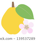 木瓜花和果實的圖標 139537289