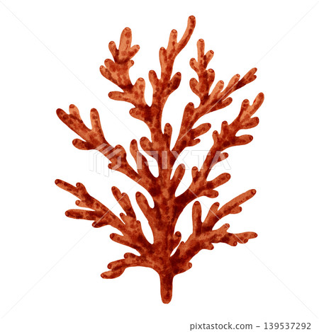 Watercolor illustration of underwater plants, seaweed, corals. Colorful ocean flora. Marine biology and aquarium decoration elements. Suitable for design, prints, postcards, sea travel Watercolor illustration of underwater plants, seaweed, corals. Colorful ocean flora. Marine biology and aquarium decoration elements. Suitable for design, prints, postcards, sea travel 139537292