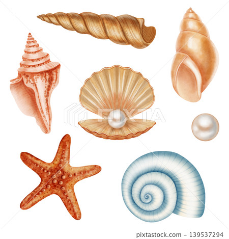 Watercolor illustration set of sea shells, pearls. Collection of various ocean scallops, spiral shells, oyster, starfish. Summer beach vacation. Suitable for design, prints, postcards, sea travel Watercolor illustration set of sea shells, pearls. Collection of various ocean scallops, spiral shells, oyster, starfish. Summer beach vacation. Suitable for design, prints, postcards, sea travel 139537294