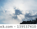 Light filtering through the clouds and the silhouette of a pine tree. 139537410
