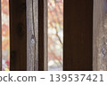 Autumn leaves spread through the gaps in the vertical wooden lattice. 139537421