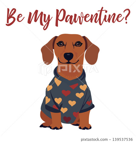 Valentines Day dachshund in heart sweater with playful text, suitable for greeting card design Valentines Day dachshund in heart sweater with playful text, suitable for greeting card design 139537536