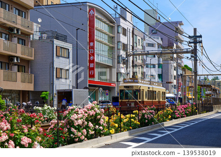 五顏六色的玫瑰花和都電彩票沿線的電車 139538019