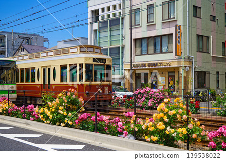 五顏六色的玫瑰花和都電彩票沿線的電車 139538022