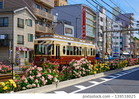 Colorful rose flowers and trams along the Toden lottery Colorful rose flowers and trams along the Toden lottery 139538025