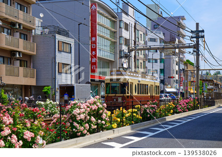 五顏六色的玫瑰花和都電彩票沿線的電車 五顏六色的玫瑰花和都電彩票沿線的電車 139538026