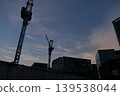 Crane in the sunset (side view) 139538044