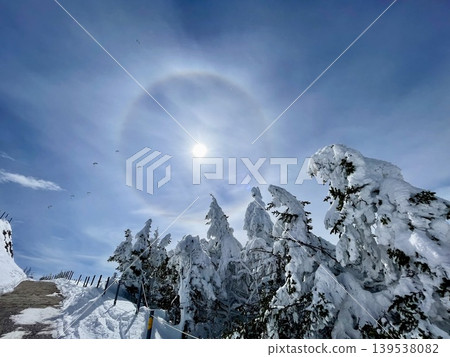[Switzerland] Snowscapes on the summit of Mount Rigi and Alpine walking trails 139538082