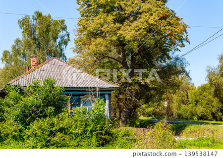 Old rustic village house with corrugated roof and brick chimney, peeking through verdant foliage. A quaint rural scene under a clear sky 139538147