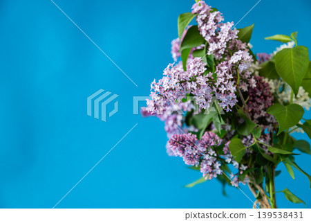 Bouquet of white and purple lilacs on a blue background 139538431