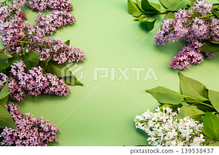 lilac flowers and pastel green background lilac flowers and pastel green background 139538437