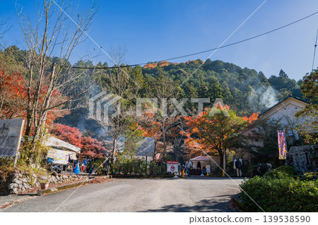 愛知縣岡崎市倉漾谷的景色 139538590