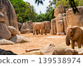 African Elephant Standing Among Large Rock Formations 139538974