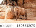 African Elephant Standing Among Large Rock Formations 139538975
