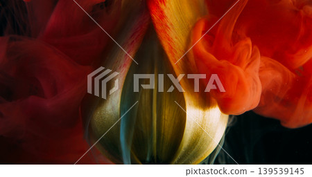 Nature paint. Cloud ink. Defocused yellow red orange color water petals texture tulip flower bud plant on abstract dark black background. 139539145