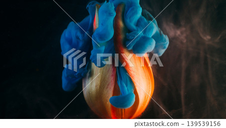 Botany paint. Ink petals. Blur blue red purple color cloud yellow red tulip nature bud flower floating on abstract dark black background. Botany paint. Ink petals. Blur blue red purple color cloud yellow red tulip nature bud flower floating on abstract dark black background. 139539156