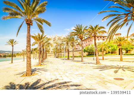 Palma de Majorca, Spain Palma de Majorca, Spain 139539411