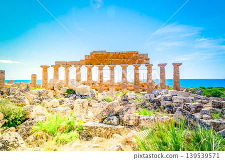 Selinunte site with ancient greek ruins, Sicily Selinunte site with ancient greek ruins, Sicily 139539571