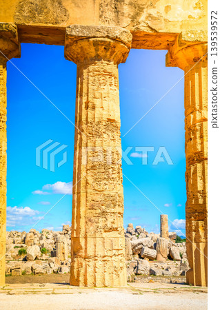 Selinunte site with ancient greek ruins, Sicily Selinunte site with ancient greek ruins, Sicily 139539572