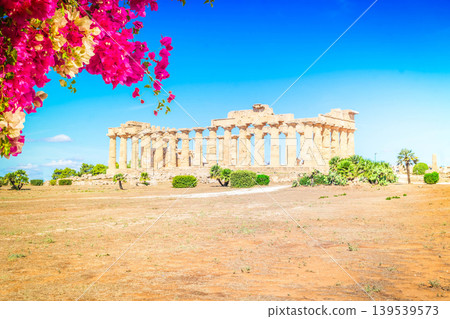 Selinunte site with ancient greek ruins, Sicily 139539573