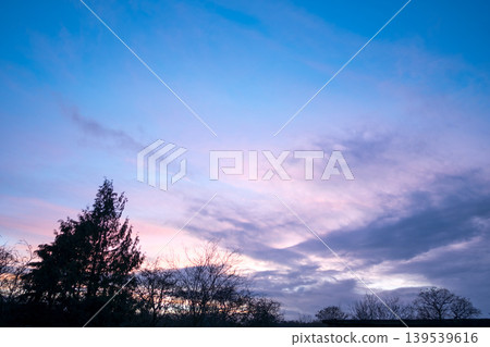 Winter background. Tree branches against blue pink winter sky at sunset. Winter background. Tree branches against blue pink winter sky at sunset. 139539616