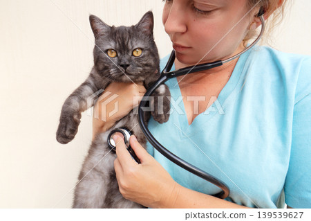 Woman veterinarian doctor holds sick cat close-up. Diagnostics of pets health in veterinary clinic concept Woman veterinarian doctor holds sick cat close-up. Diagnostics of pets health in veterinary clinic concept 139539627