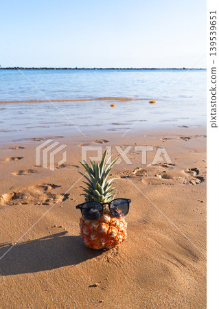 pinapple ob a beach pinapple ob a beach 139539651