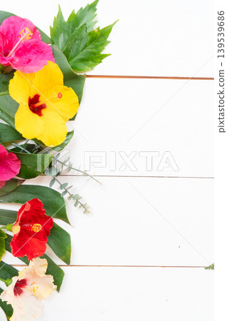 Tropical flowers and leaves, summer vacational background Tropical flowers and leaves, summer vacational background 139539686