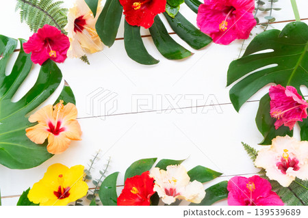 Tropical flowers and leaves, summer vacational background Tropical flowers and leaves, summer vacational background 139539689