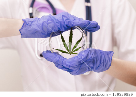 Hemp medicinal properties concept. Hemp medicinal properties concept. 139539889