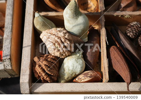 Assorted natural seed pods and cones in wooden compartment tray at a market Assorted natural seed pods and cones in wooden compartment tray at a market 139540009