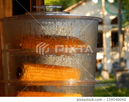 Steam Cooking Of Corn In Cob At Picnic Party Steam Cooking Of Corn In Cob At Picnic Party 139540048