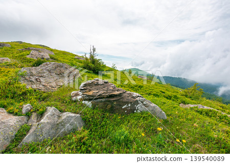 green landscape of mountain in summer. view of rock among grass on the hillside. travel background under a cloudy sky. carpathian mountain scenery with rolling hills green landscape of mountain in summer. view of rock among grass on the hillside. travel background under a cloudy sky. carpathian mountain scenery with rolling hills 139540089