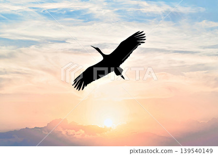 A white stork flying in its natural habitat under an orange sunset sky above the Vallcalent Wildlife Center in Lleida, Catalonia, Spain. A white stork flying in its natural habitat under an orange sunset sky above the Vallcalent Wildlife Center in Lleida, Catalonia, Spain. 139540149