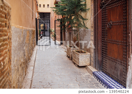 Narrow cobblestone alleyway in a Moroccan city with decorative wooden door, potted plants, and wrought iron gate leading to a courtyard Narrow cobblestone alleyway in a Moroccan city with decorative wooden door, potted plants, and wrought iron gate leading to a courtyard 139540224