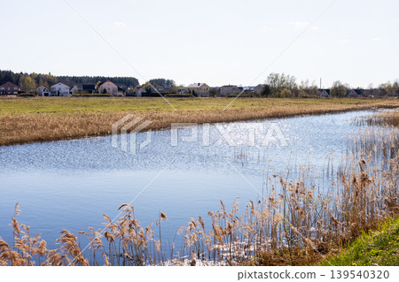Peaceful countryside scene. Quiet rural waterbody bordered by tall plants under clear blue sky 139540320