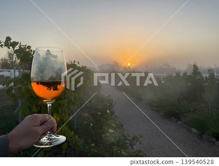 Hand holding a glass of amber wine against a backdrop of a vineyard path at sunrise, with soft mist and warm sunlight creating a serene atmosphere 139540528