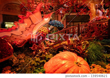 Bellagio Conservatory autumn display with large pumpkins seasonal decorations and botanical install 139540621