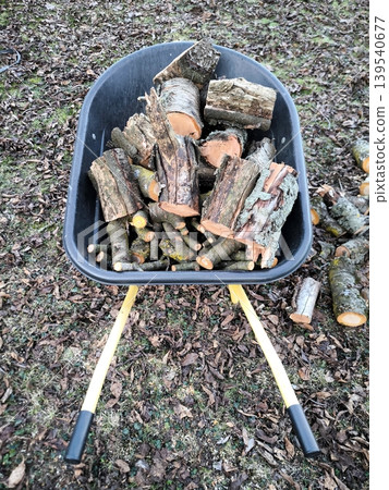 A garden wheelbarrow filled with cut firewood and branches in the garden A garden wheelbarrow filled with cut firewood and branches in the garden 139540677